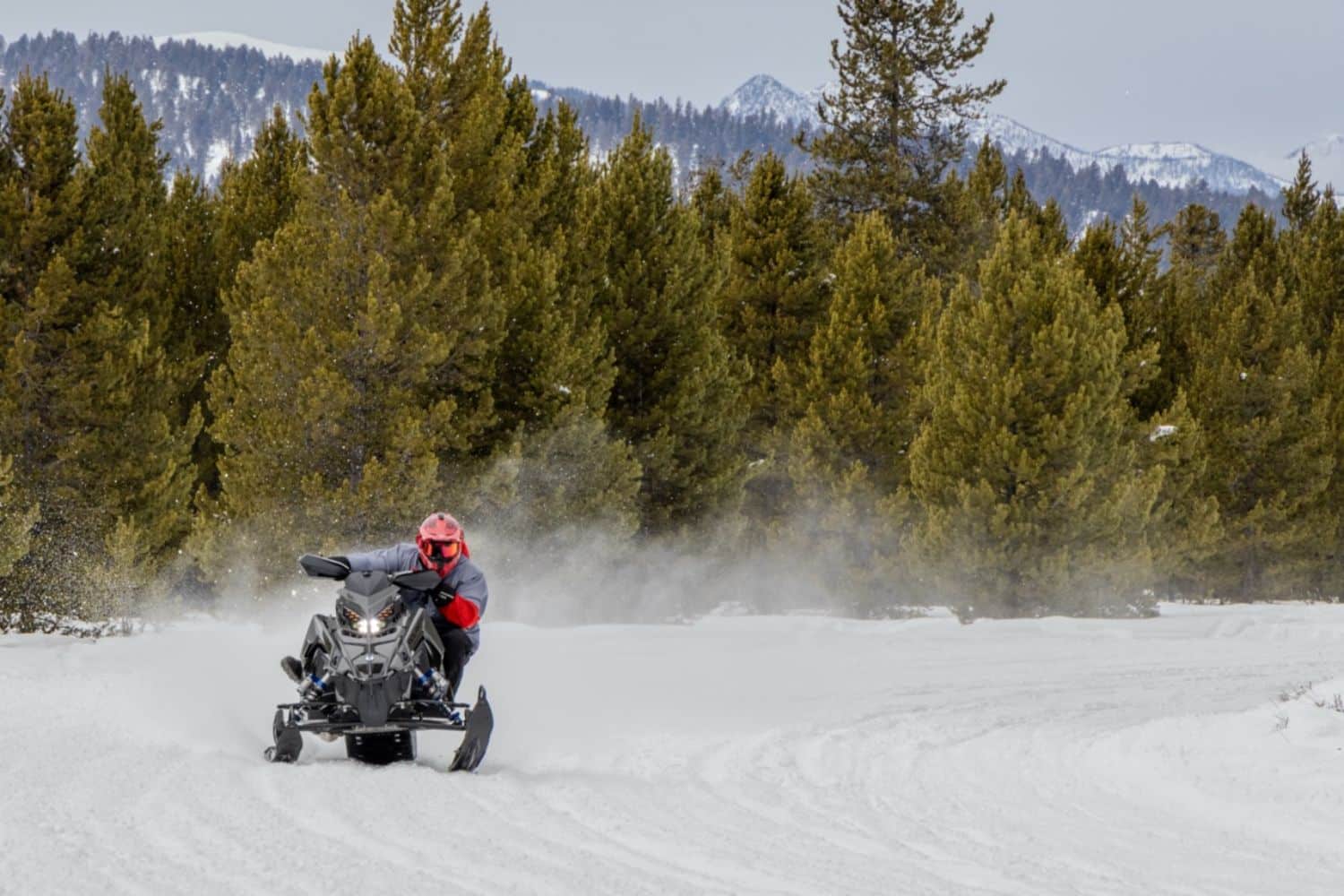 Polaris Switchback Assault 9R 2025