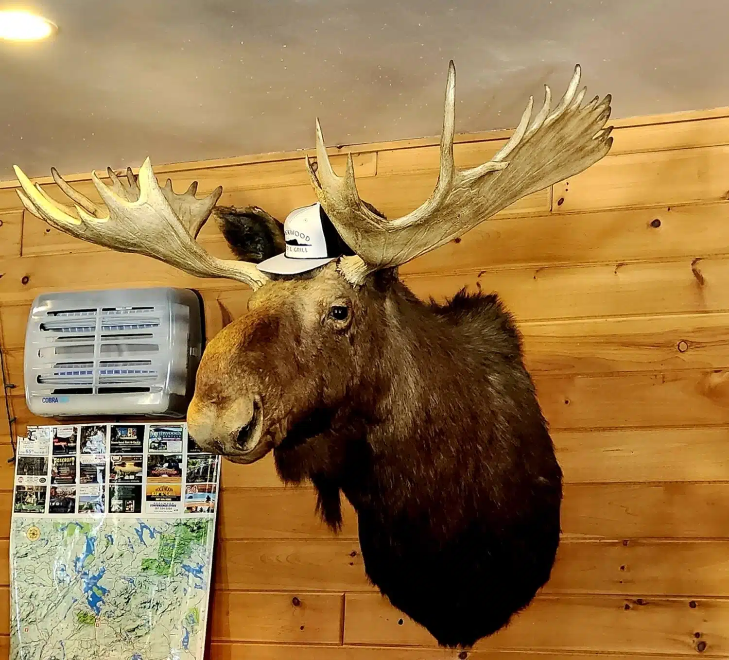 Photo 8 - Harry The Moose – Rockwood Bar & Grill