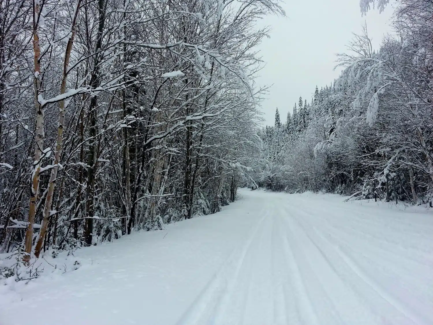 Sentier dans Charlevoix